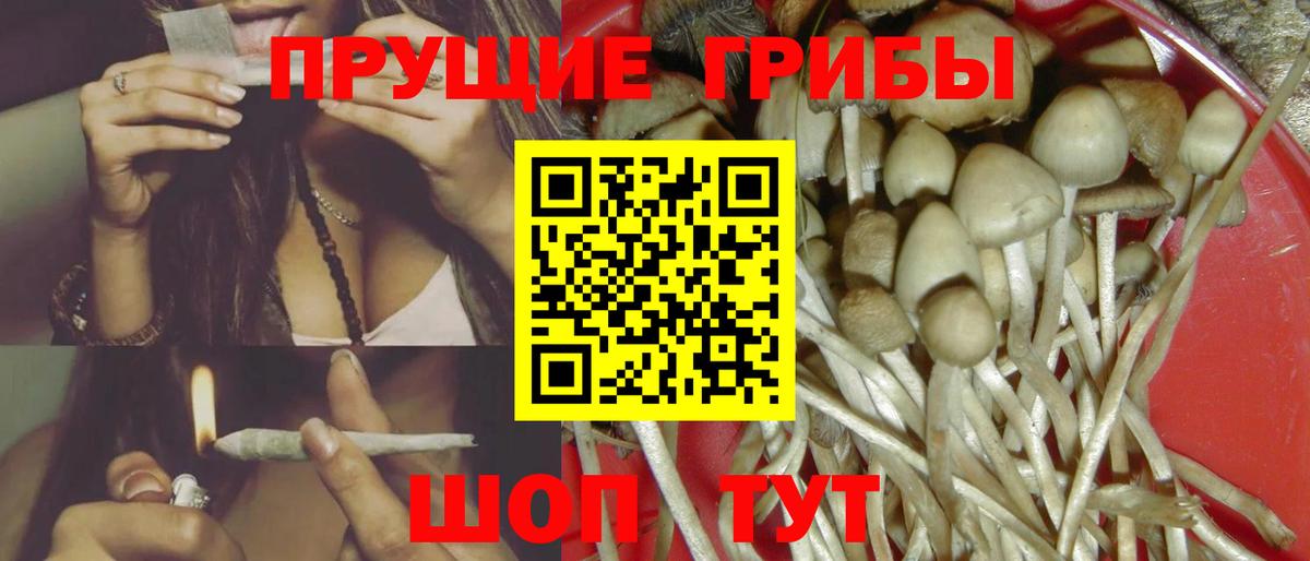 Галлюциногенные грибы мухоморы Курганинск